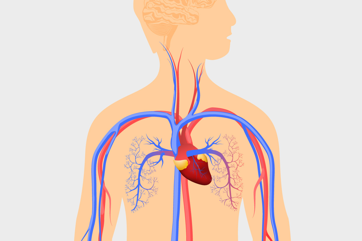 Pressione arteriosa