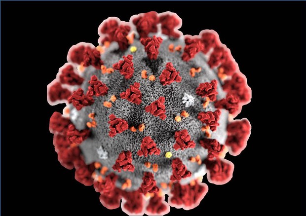 coronavirus ipertensione e fibrillazione atriale