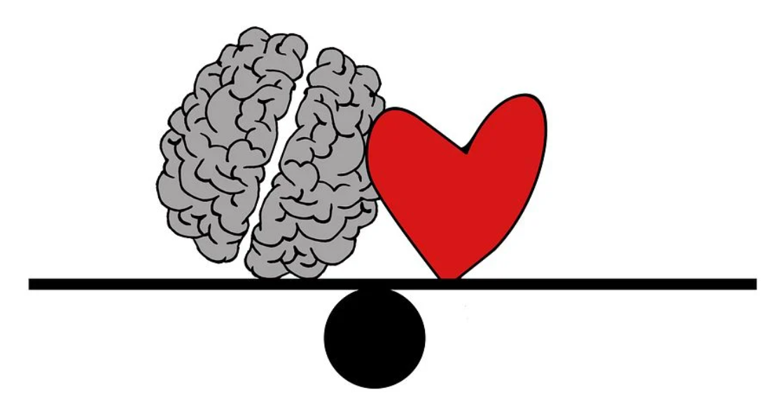 cuore cervello